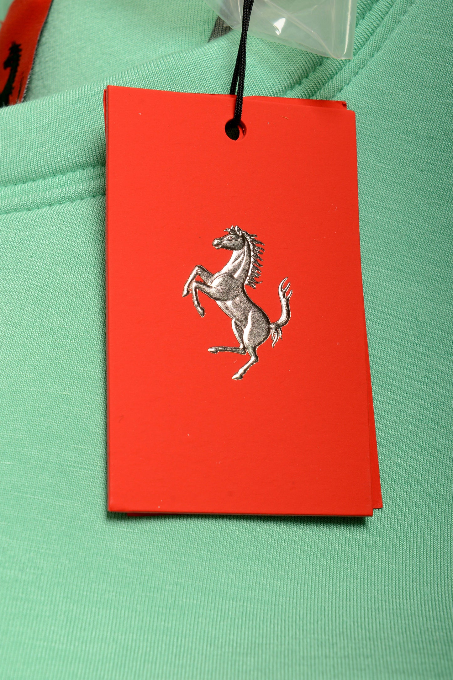 Scuderia Ferrari Men's Mint Embellished F-Lunga Sweatshirt Sweater US L IT 52