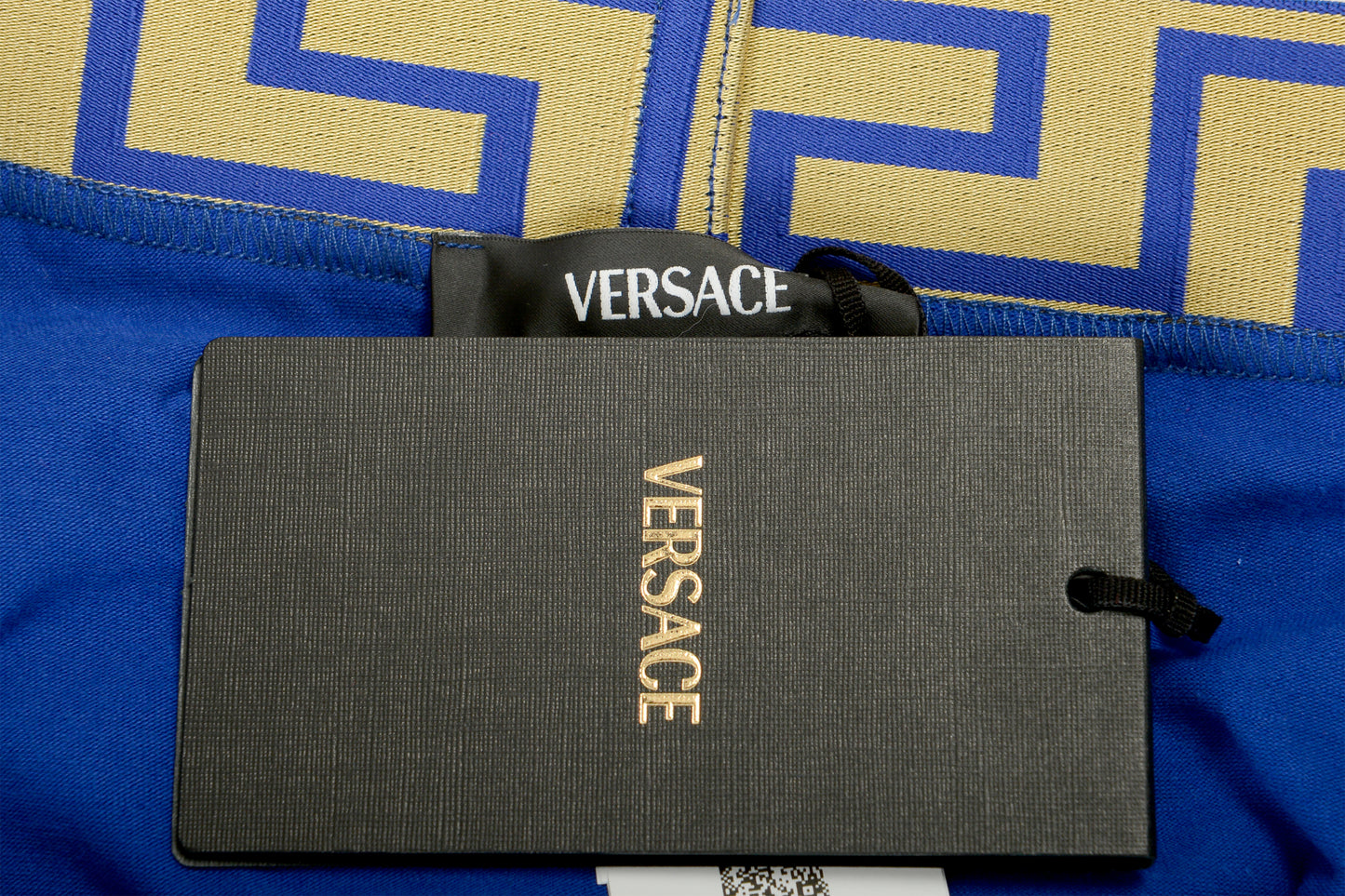 Versace Men's Gold Greeca Border Low Rise Trunk Underwear Versace 4 US S IT 48